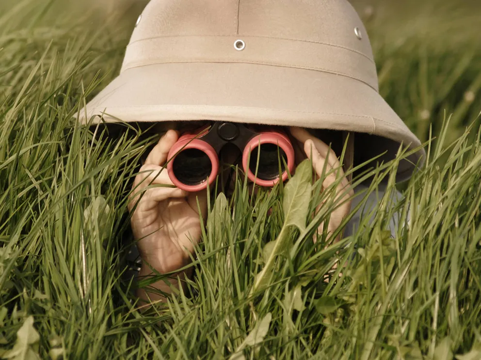 Wonen in Lansingerland: ontdek de nieuwe wijk Wilderszijde in Bergschenhoek